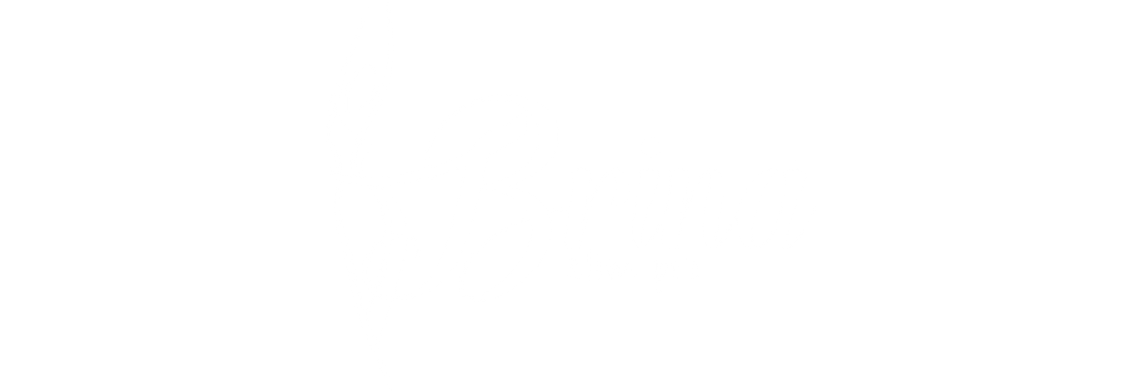 BRINA
